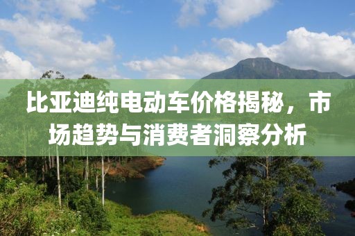 比亞迪純電動(dòng)車價(jià)格揭秘，市場趨勢與消費(fèi)者洞察分析