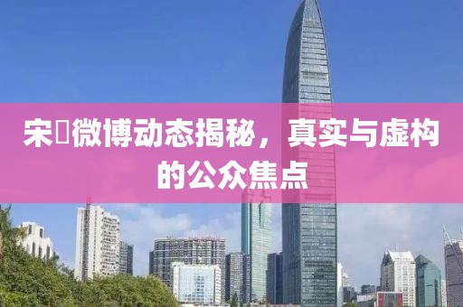 宋喆微博動(dòng)態(tài)揭秘，真實(shí)與虛構(gòu)的公眾焦點(diǎn)