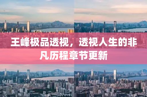 王峰極品透視，透視人生的非凡歷程章節(jié)更新