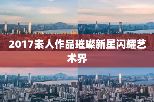 2017素人作品璀璨新星閃耀藝術(shù)界