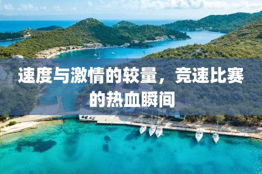 速度與激情的較量，競速比賽的熱血瞬間