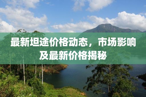 最新坦途價格動態(tài)，市場影響及最新價格揭秘