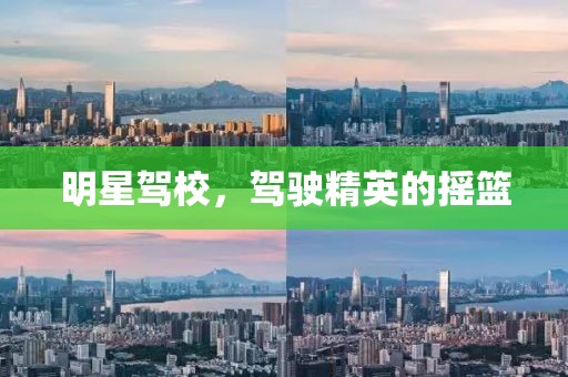 明星駕校，駕駛精英的搖籃