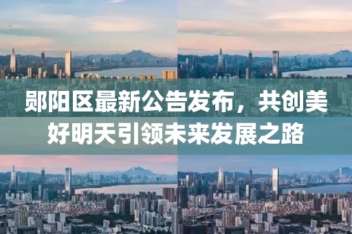 鄖陽區(qū)最新公告發(fā)布，共創(chuàng)美好明天引領(lǐng)未來發(fā)展之路