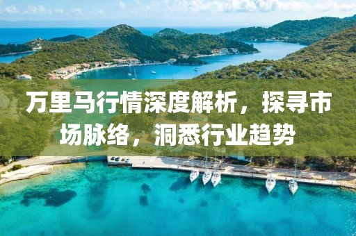 萬(wàn)里馬行情深度解析，探尋市場(chǎng)脈絡(luò)，洞悉行業(yè)趨勢(shì)