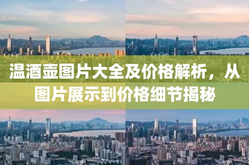 溫酒壺圖片大全及價格解析，從圖片展示到價格細節(jié)揭秘