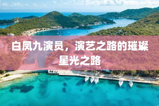 白鳳九演員，演藝之路的璀璨星光之路