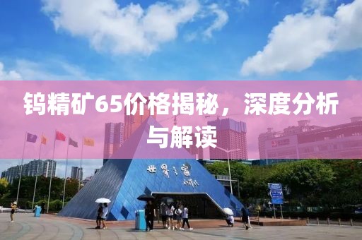 鎢精礦65價(jià)格揭秘，深度分析與解讀