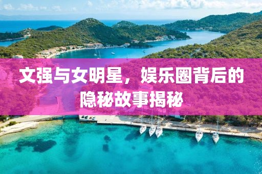 文強(qiáng)與女明星，娛樂圈背后的隱秘故事揭秘