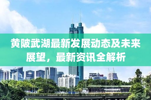 黃陂武湖最新發(fā)展動態(tài)及未來展望，最新資訊全解析