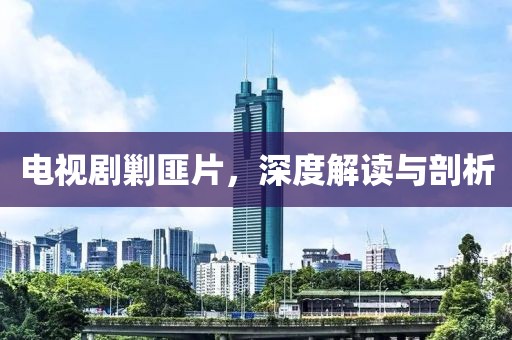 電視劇剿匪片，深度解讀與剖析