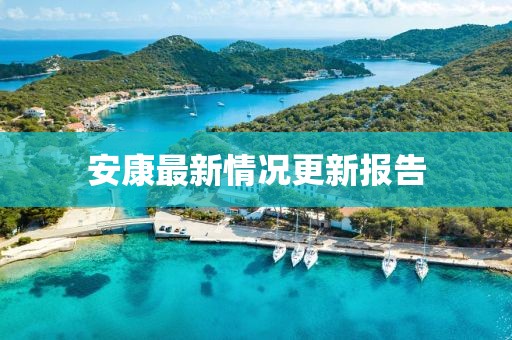 安康最新情況更新報告