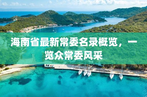 海南省最新常委名錄概覽，一覽眾常委風采