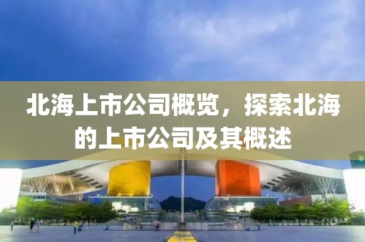 北海上市公司概覽，探索北海的上市公司及其概述