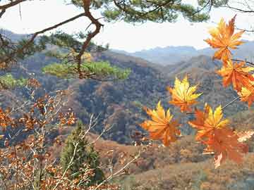 福州兼職招聘最新動態(tài)及市場趨勢分析