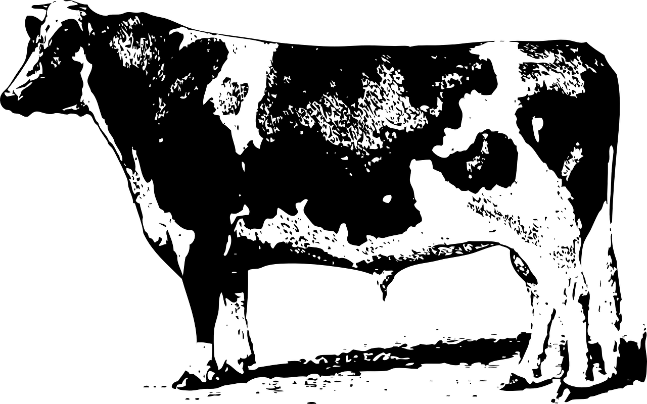 中合三農(nóng)集團(tuán)引領(lǐng)農(nóng)業(yè)產(chǎn)業(yè)變革，共創(chuàng)鄉(xiāng)村振興新篇章的最新動態(tài),或者中合三農(nóng)集團(tuán)，鄉(xiāng)村振興的先鋒，最新動態(tài)引領(lǐng)農(nóng)業(yè)創(chuàng)新