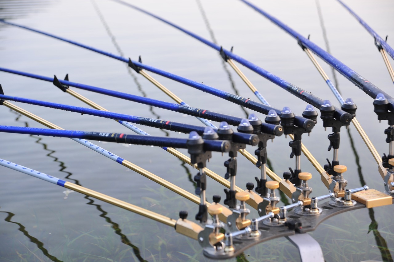 魚桿魚具價(jià)格全面解析，深度了解市場行情與購買指南