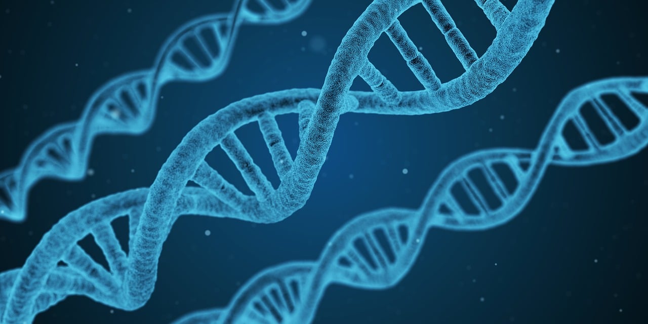 三諾生物引領(lǐng)生物科技，塑造健康未來(lái)最新資訊