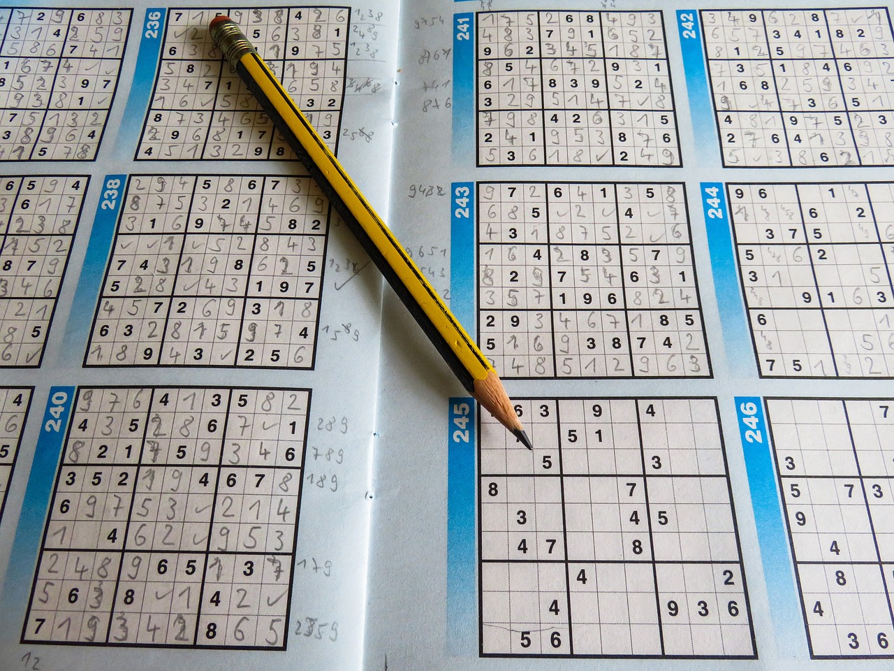 全國(guó)中小學(xué)數(shù)獨(dú)比賽，智慧挑戰(zhàn)，風(fēng)采展現(xiàn)