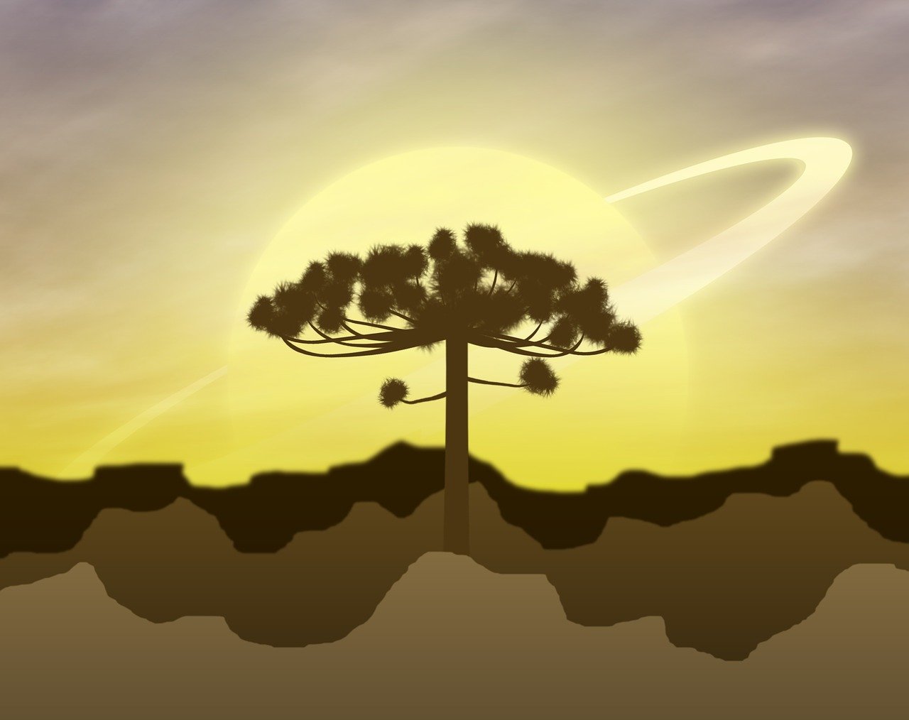 白熊動(dòng)漫，奇幻之旅，探索魅力世界的無(wú)限魅力