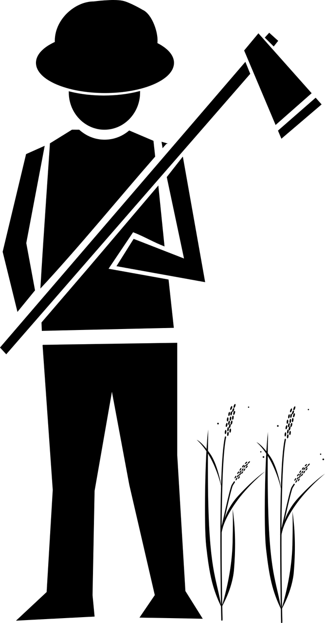 農(nóng)業(yè)科技崛起與未來展望，超級農(nóng)民的最新章節(jié)展望