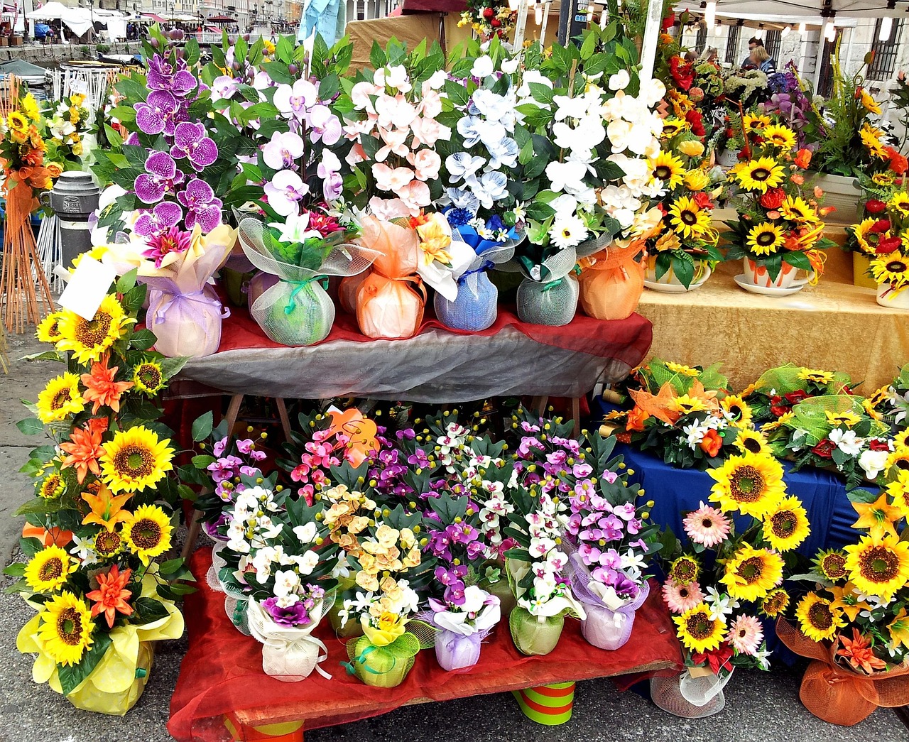 各種鮮花批發(fā)價格概覽及市場行情分析