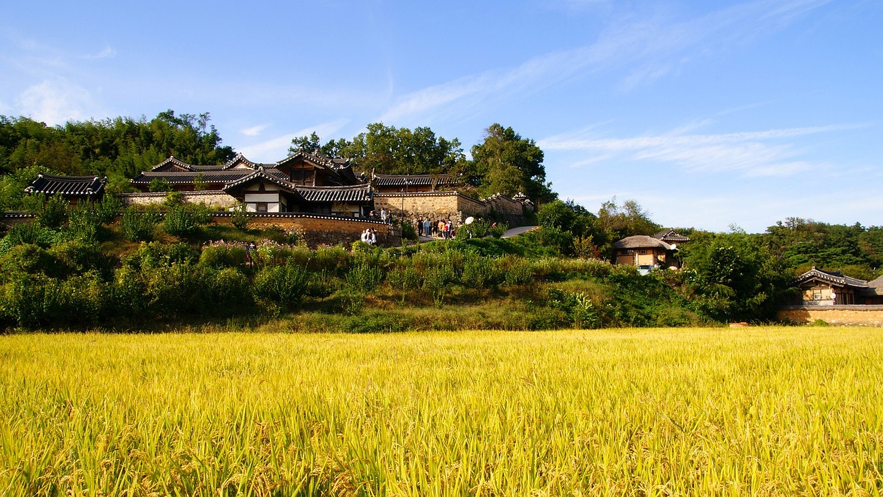 松原農(nóng)村土地新政重塑鄉(xiāng)村發(fā)展新模式