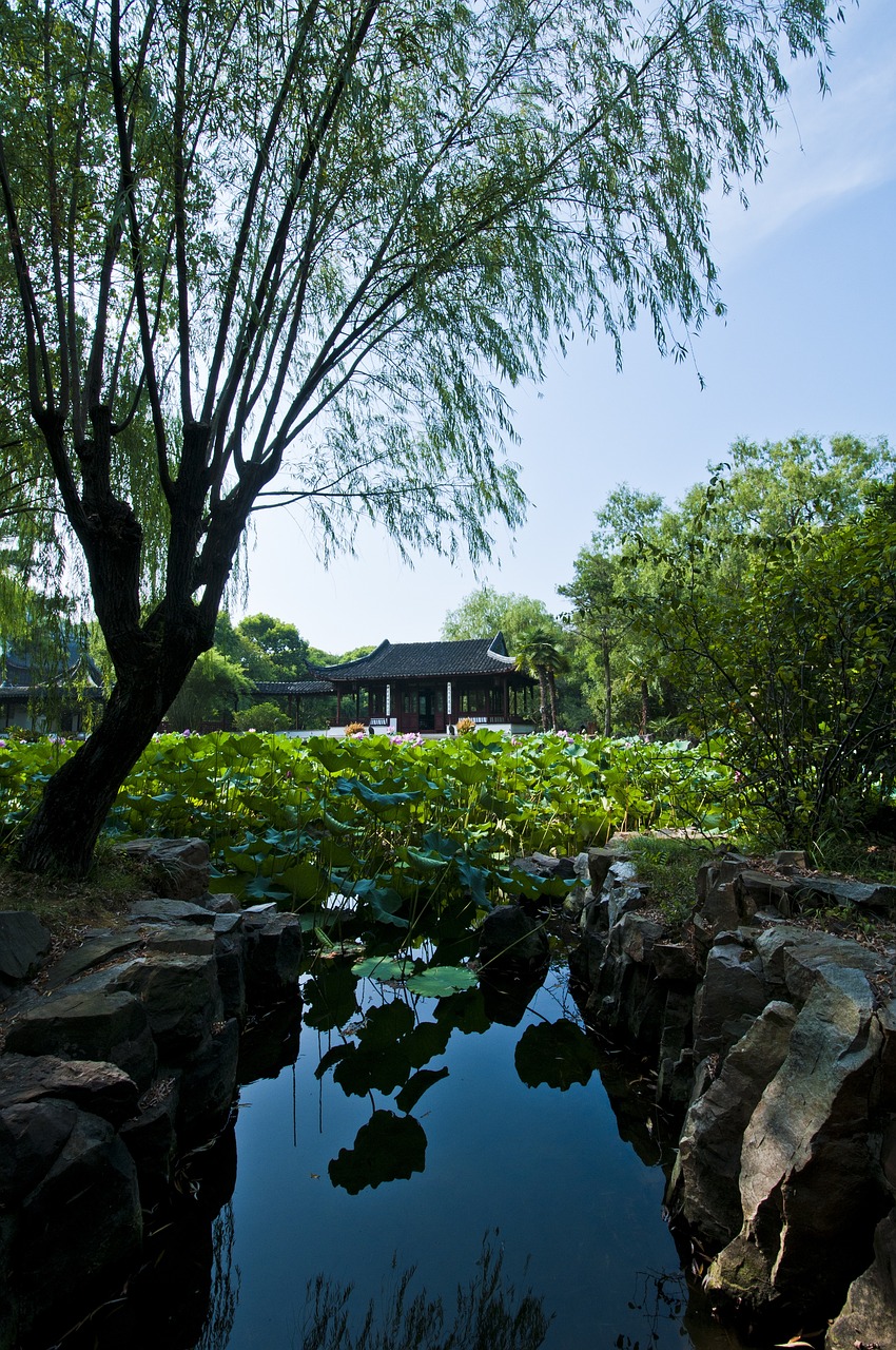 蘇州最新動(dòng)態(tài)，城市繁榮與未來(lái)脈動(dòng)展望