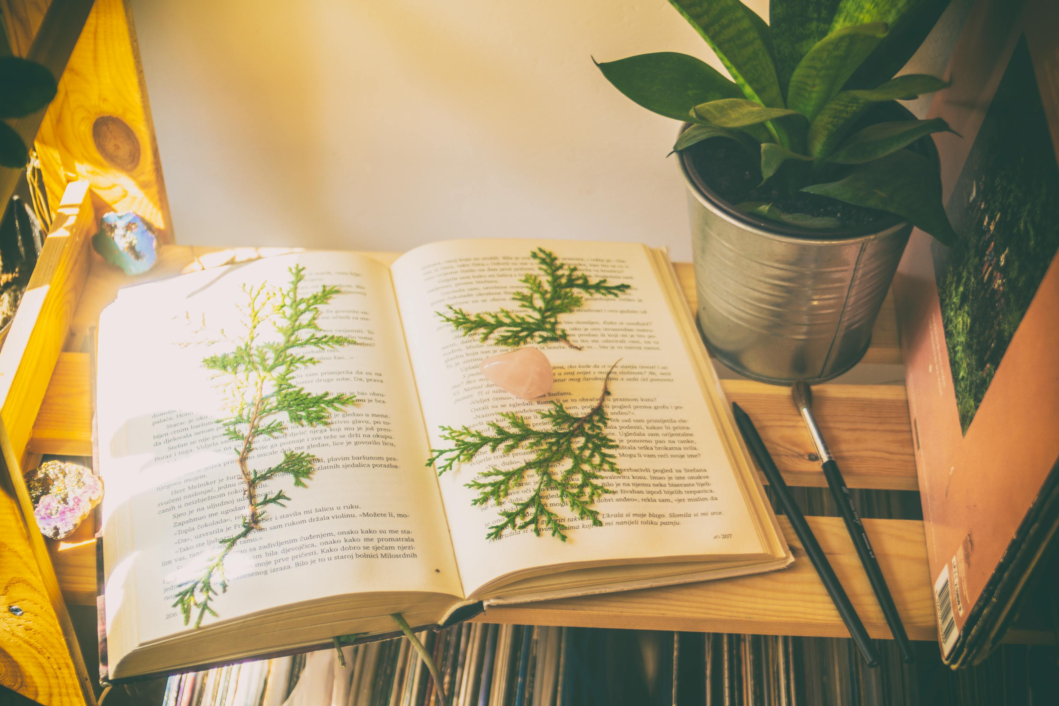 經(jīng)典誦讀比賽的感悟與體驗(yàn)，一場(chǎng)精彩的400字作文分享