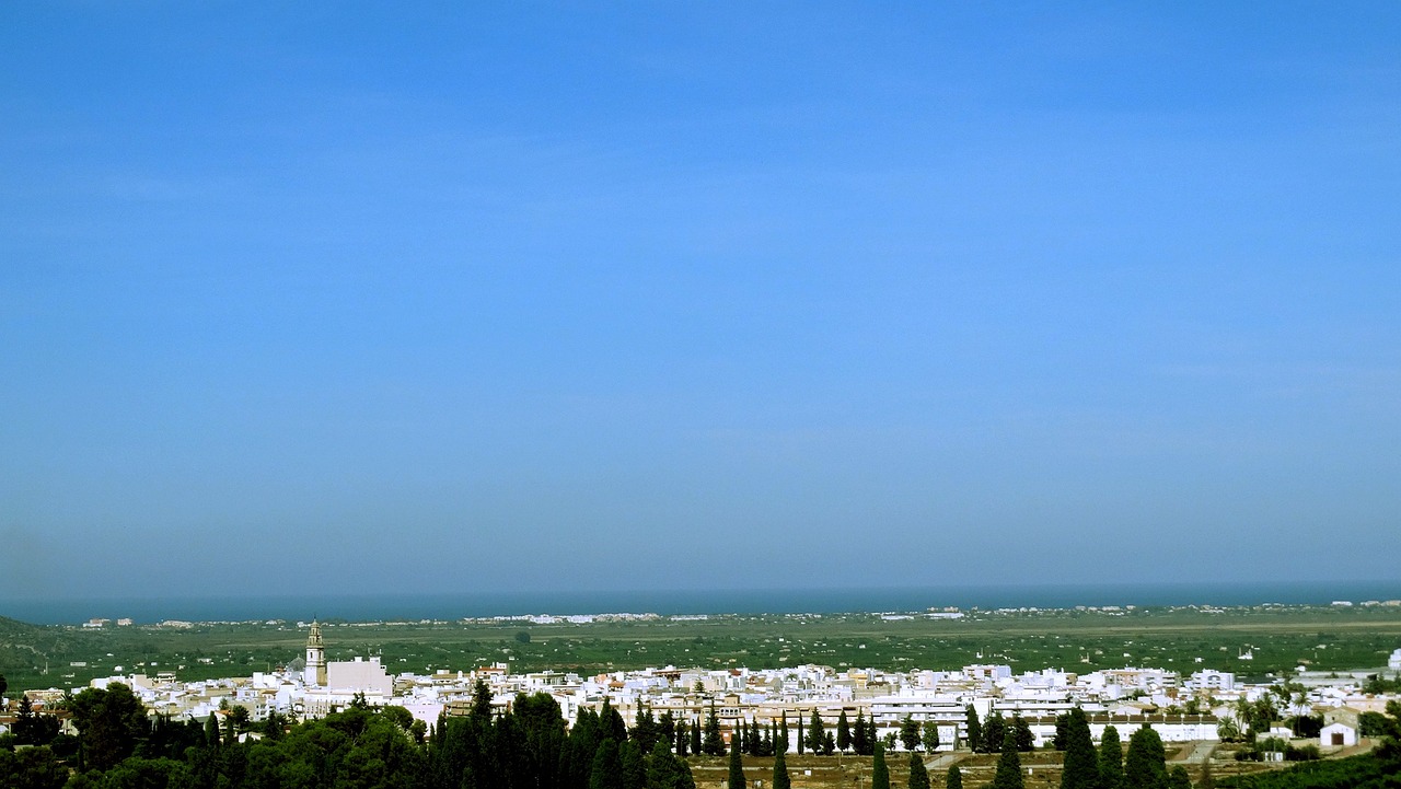 經(jīng)編布行情深度分析，市場動態(tài)與趨勢預(yù)測