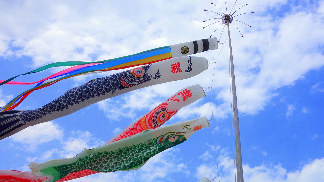 多元融合時(shí)代，最新省外來漢動(dòng)態(tài)展現(xiàn)活力迸發(fā)新篇章
