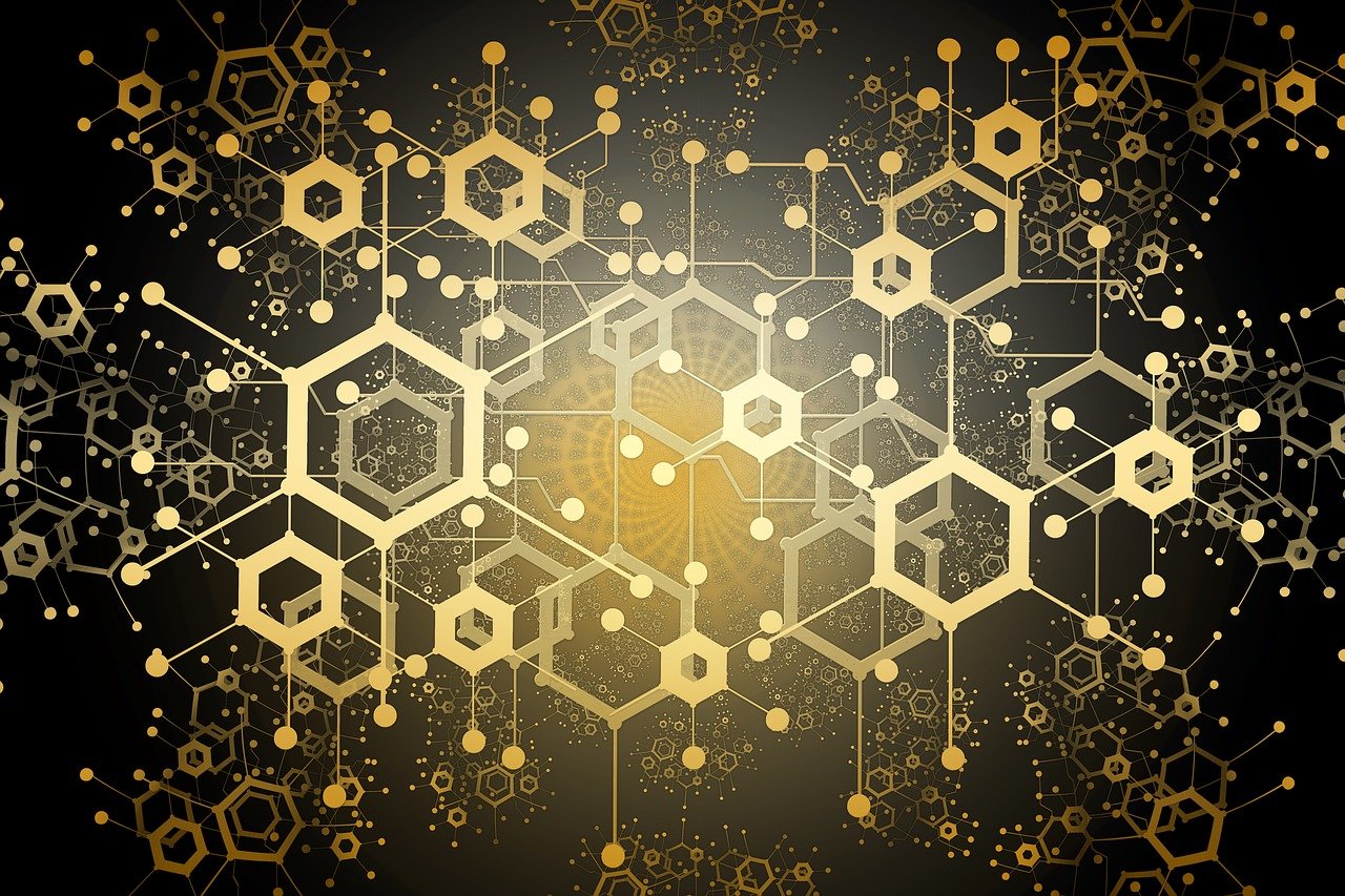 卡普游戲深層機制解析，探索未知領域，揭示最新卡普解析之道
