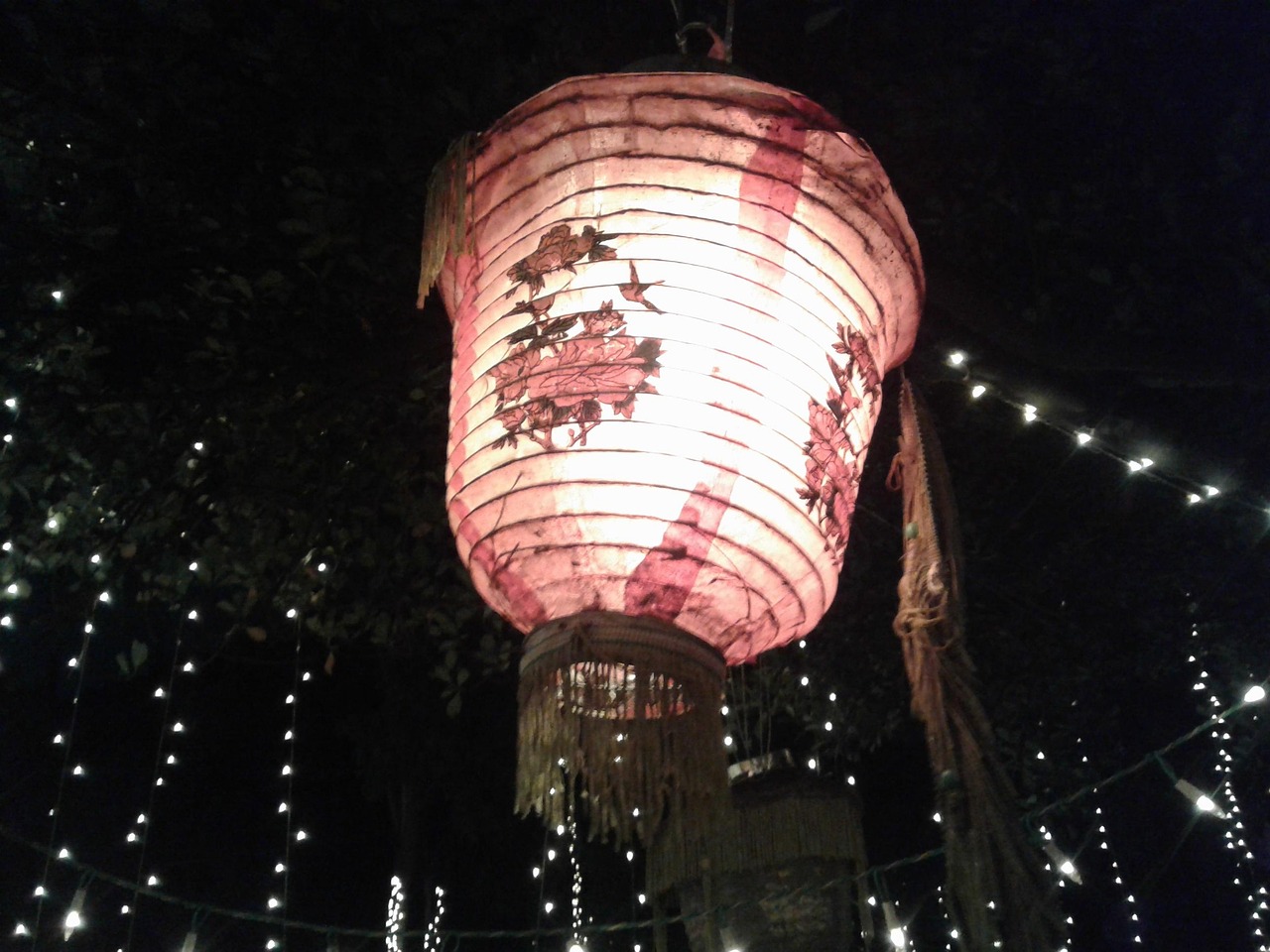 電影過年，傳統(tǒng)與現(xiàn)代交織的情感盛宴之夜