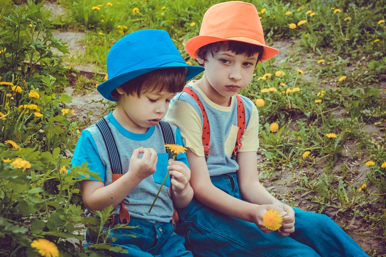幼兒朗誦比賽，播種夢(mèng)想，見證成長(zhǎng)之路