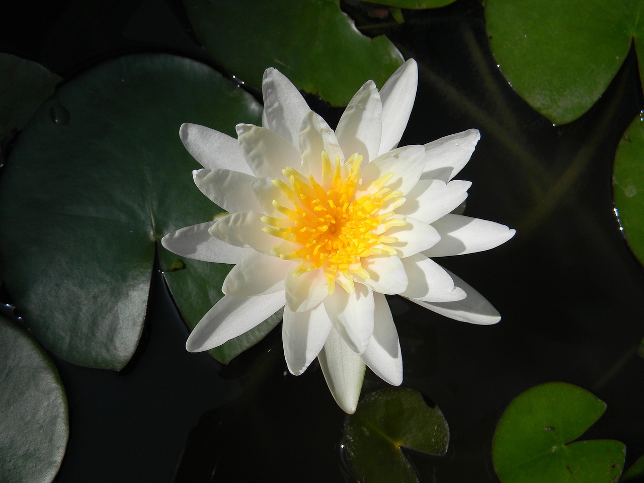 揭秘，引領(lǐng)未來海戰(zhàn)的新時(shí)代戰(zhàn)艦——055最新動(dòng)態(tài)