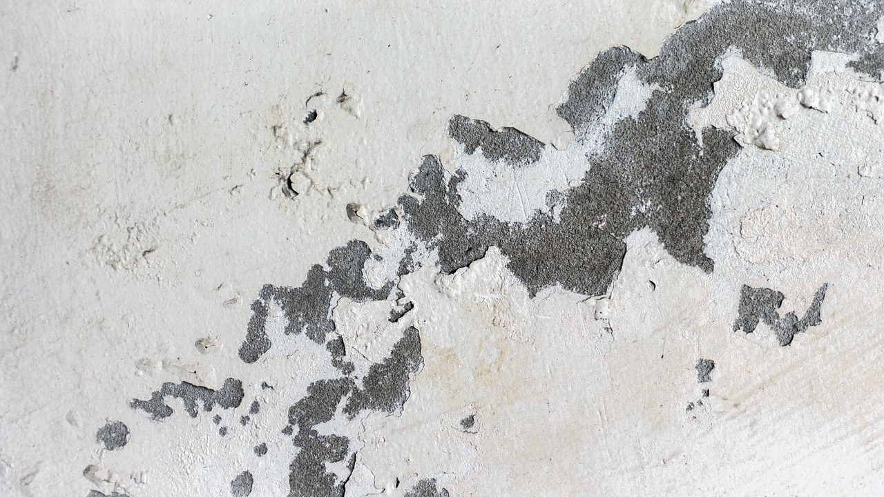 九州安置區(qū)持續(xù)推動建設(shè)與發(fā)展，最新動態(tài)與進展報告