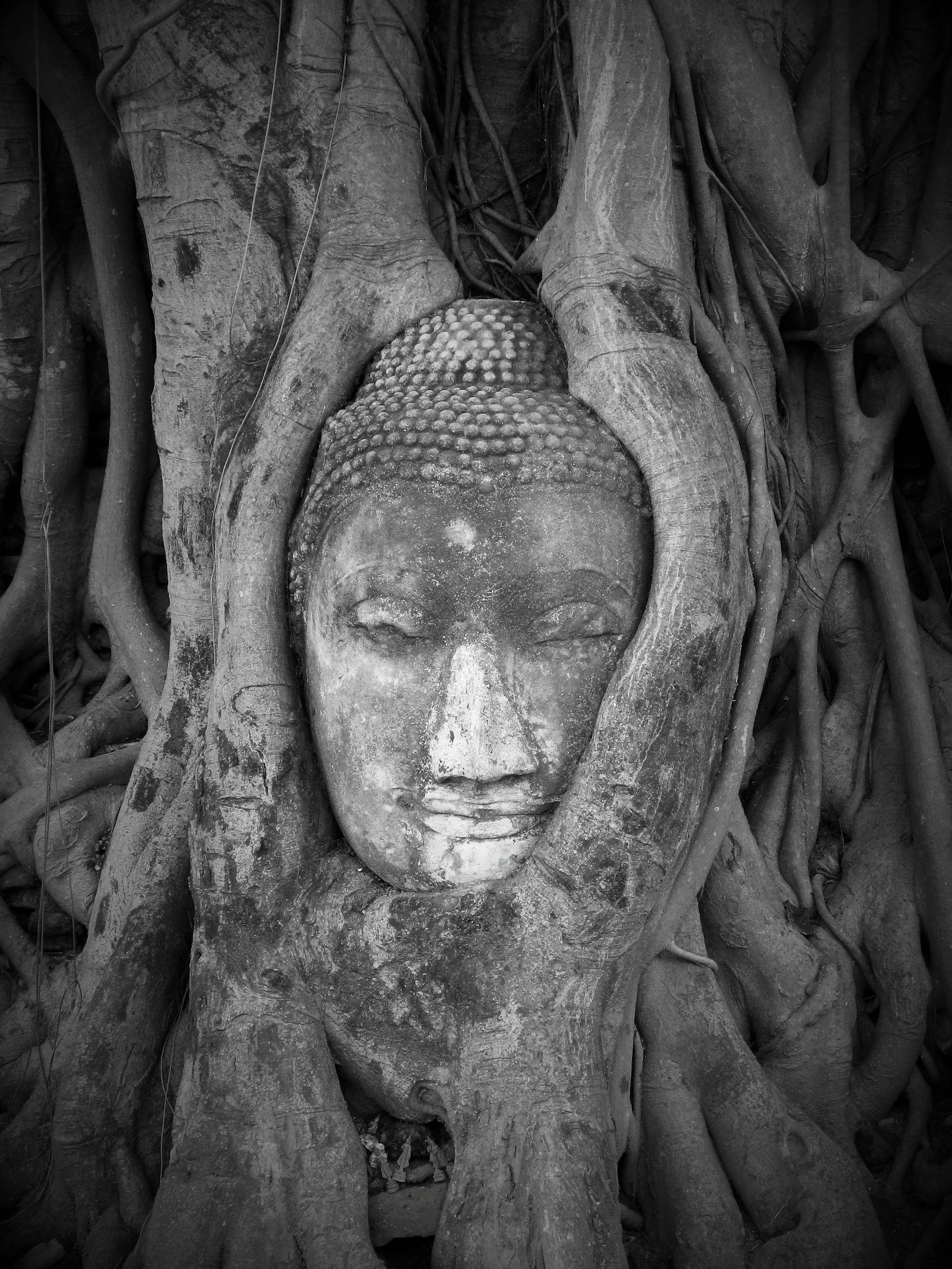 黑白動漫頭像的魅力，藝術(shù)世界的交織之美