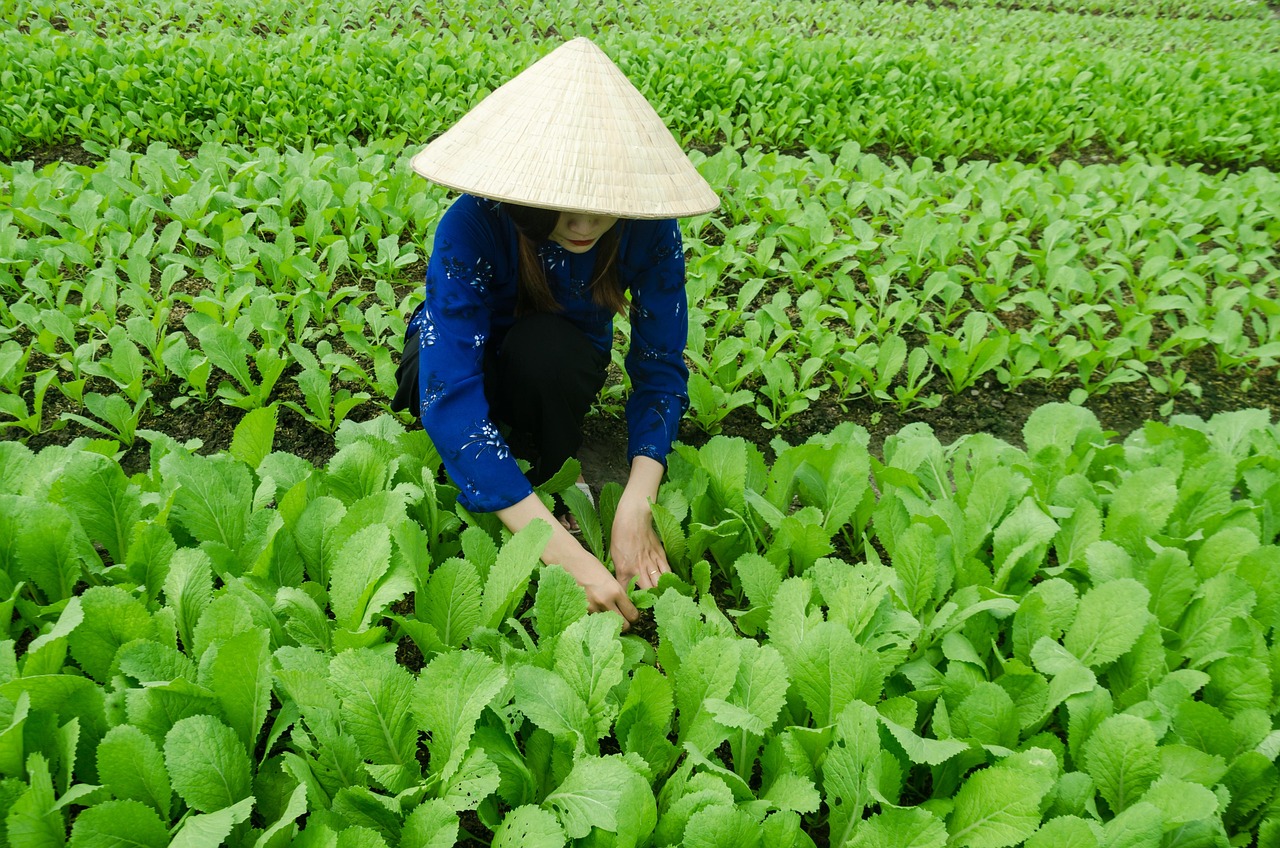 濟(jì)南齊魯之門項(xiàng)目最新進(jìn)展動態(tài)揭秘