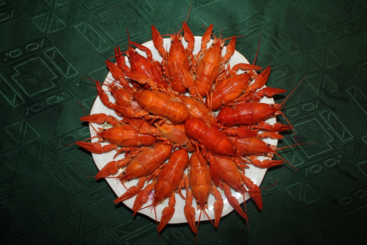國(guó)內(nèi)冷鏈行業(yè)動(dòng)態(tài)深度解析與探析