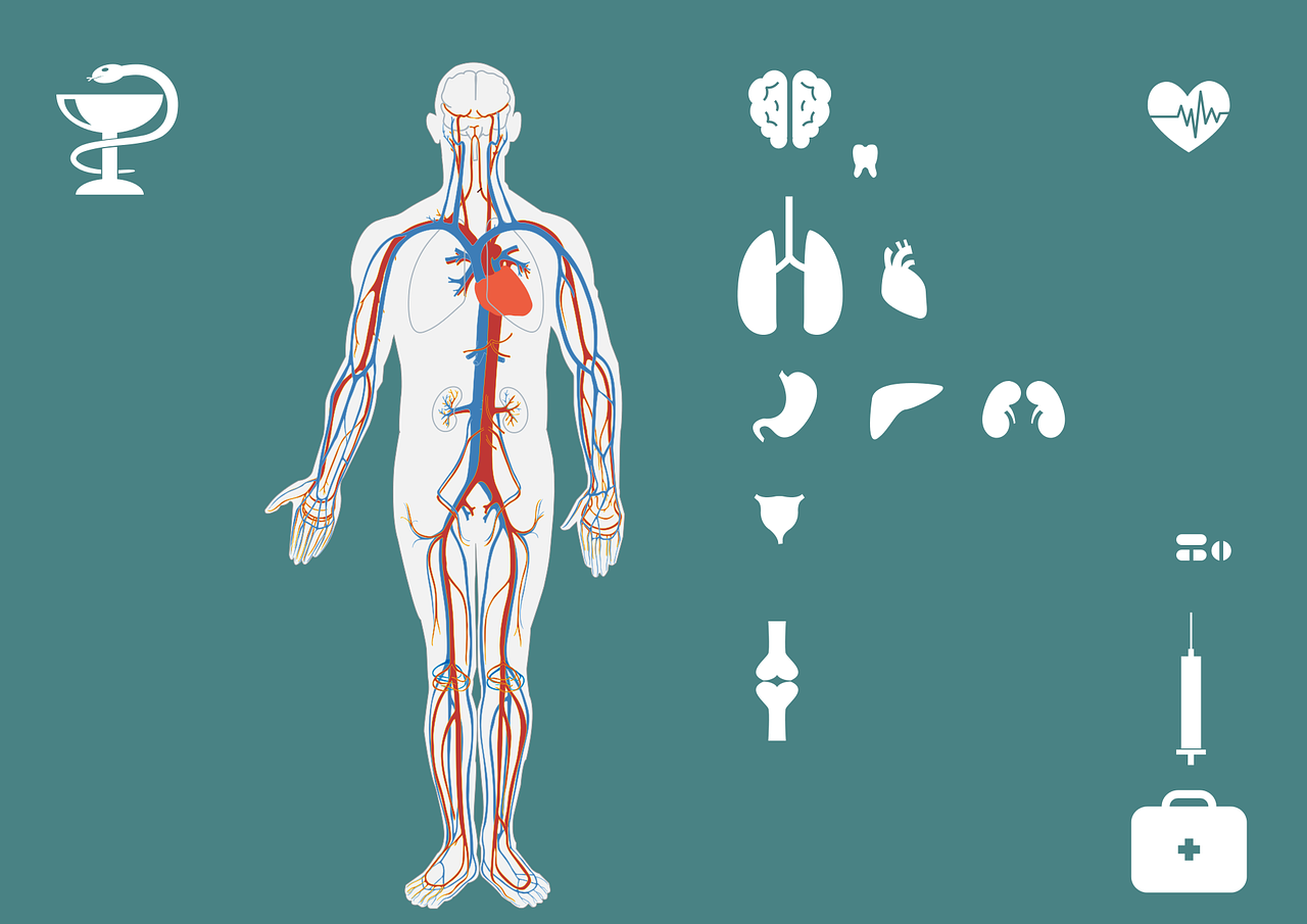 最新眼部保健操，守護(hù)您的視界健康之道