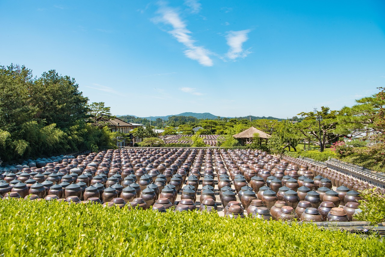 最新果樹品種探索，開啟未來農(nóng)業(yè)新篇章