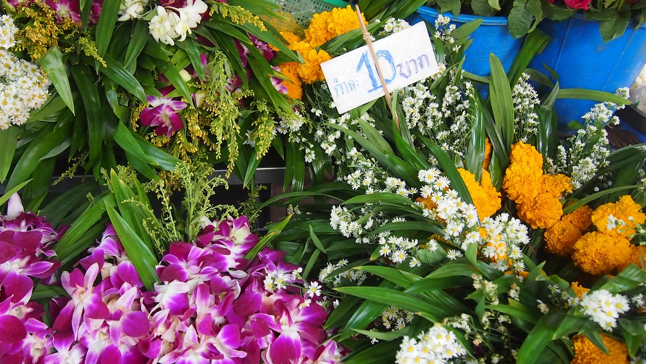 藏藥綠蘿花價(jià)格深度解析與市場(chǎng)分析